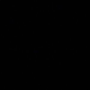 Meet your Posher, Alaina